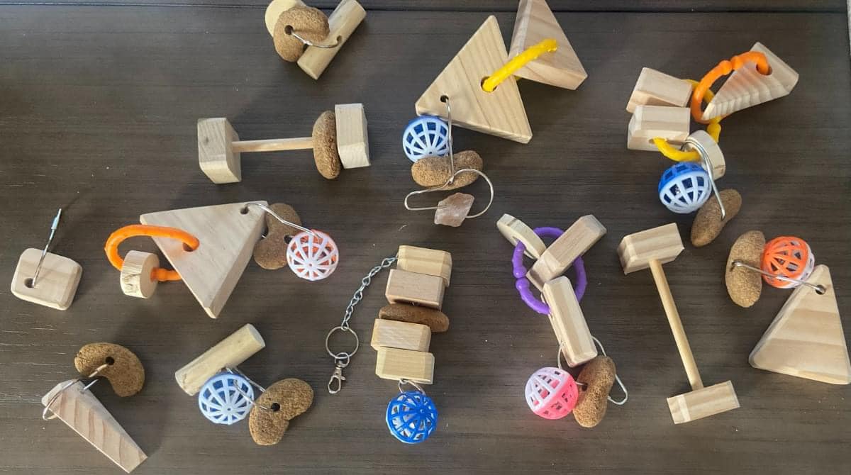 Variety Bundle (12 toys per pack) see description!