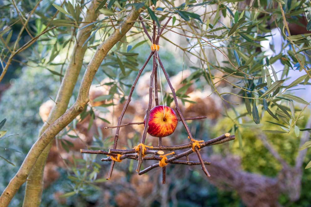 DIY eco bird feeder hanging from a tree branch, made from twigs tied into a triangular pyramid shape with orange string, holding an apple in the centre.