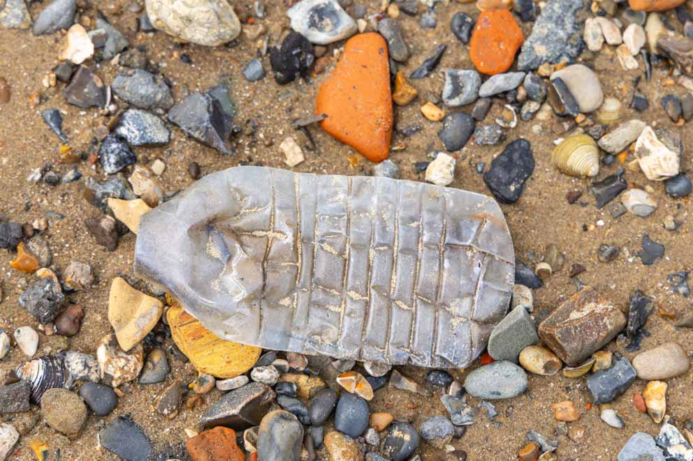 A flattened plastic water bottle washing up on the beach.