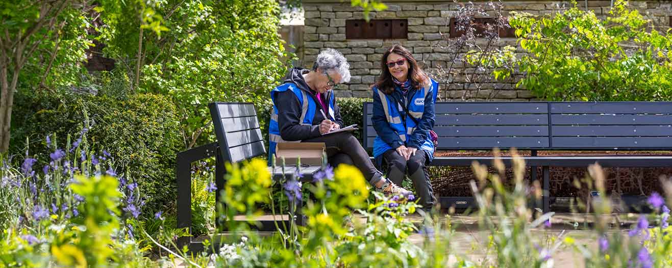 Two people from the RSPCA doing paperwork outdoors.
