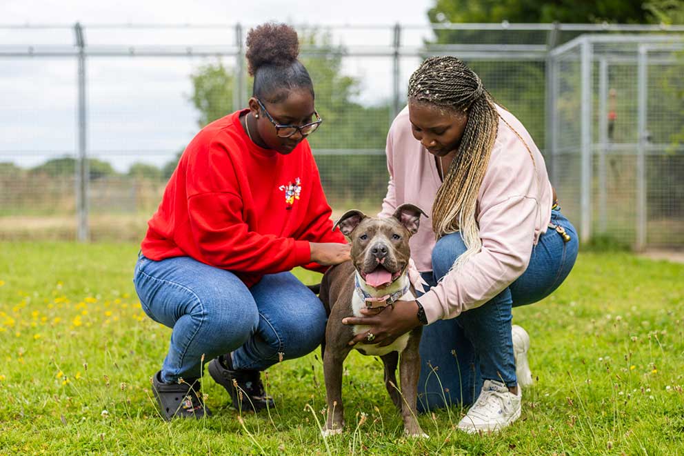 Two black women pet a dog in a open field.
