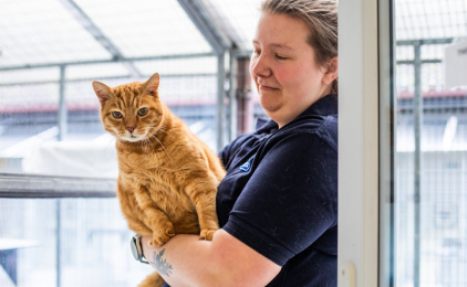 Woman holding ginger cat in her arms.