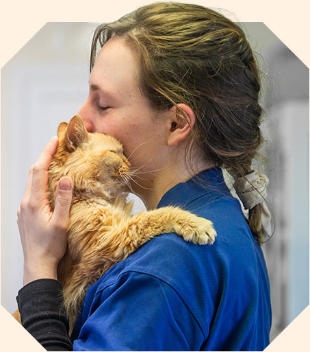 An RSPCA staff member cuddling a fluffy orange cat.